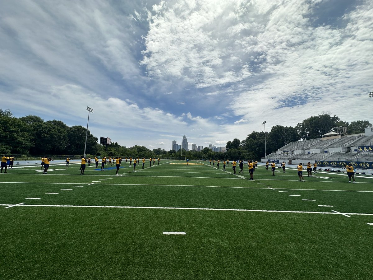 Golden Bulls tweet media