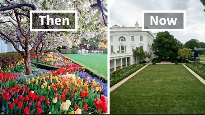 tomiahonen's tweet photo. Roses are red
Violets are blue
The garden is gone
The Trumps are gone too
#Arrestmas #RoseGardenMassacre #SHA #SlovenianHookerAssociation #FLOTITS #WorstLady #FirstTramp #ThirdLady #FirstHo #HOTUS https://t.co/gt1TSRVfgG