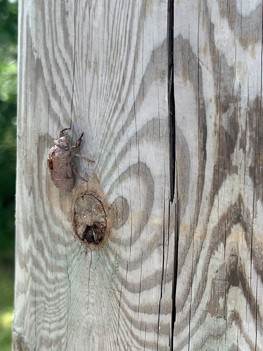 Anne Gaviola tweet media