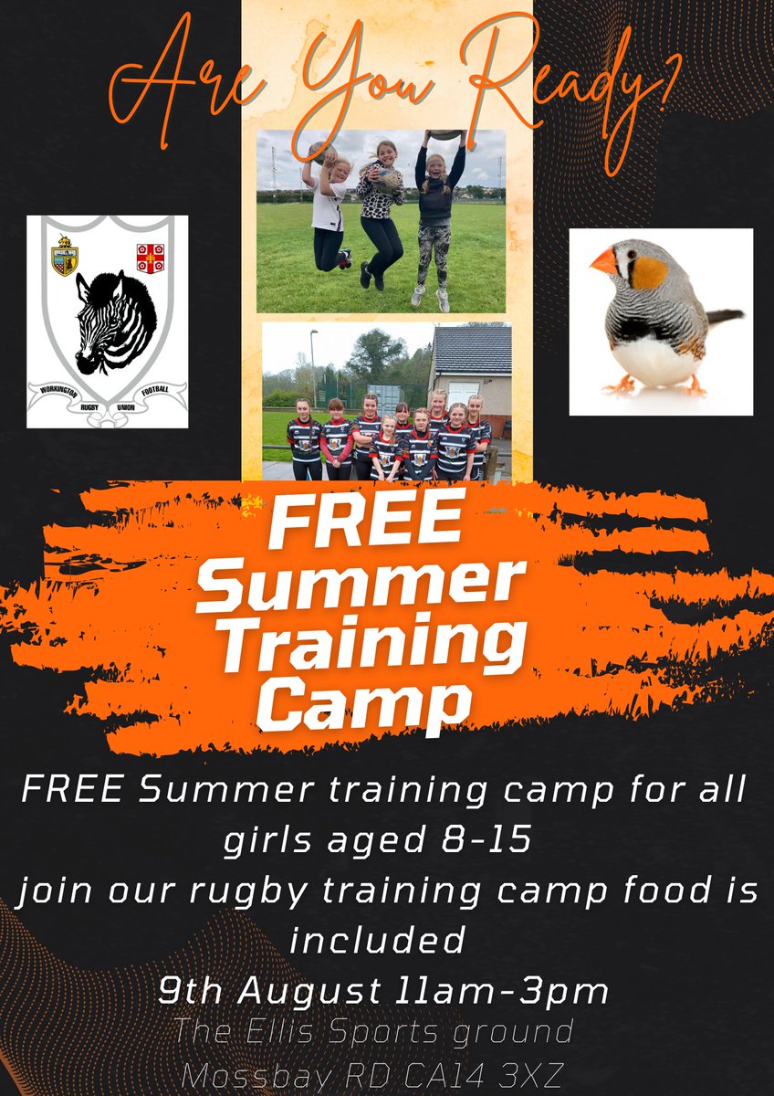 Workington Zebra Finches tweet media