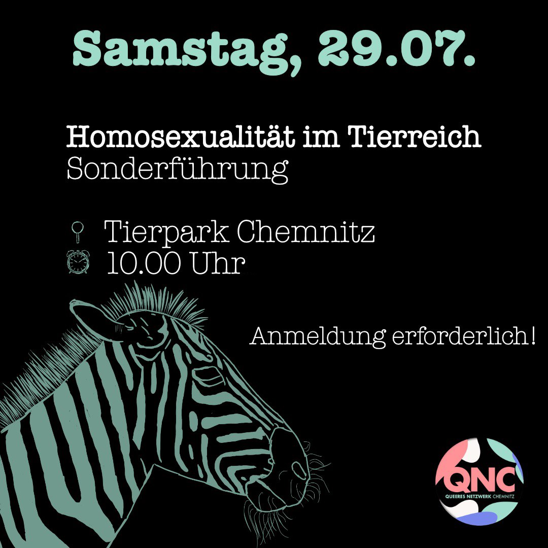 QueeresChemnitz's tweet photo. @ChemnitzCSD @chemnitz2025 @weltecho Am Samstag ist es dann endlich soweit: der 11. Chemnitzer CSD geht los! ✊️🏳️‍🌈
Davor habt ihr nochmal die Chance im Tierpark etwas über queere Tiere zu erfahren. Wer nach Demo und Straßenfest noch Bock auf feiern hat, der kann abends ins @weltecho zur Aftershow-Party kommen! 💃🪩 https://t.co/axQlilDh6T
