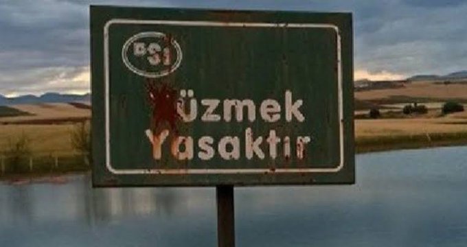 Alnıma yapıştıracam alnıma