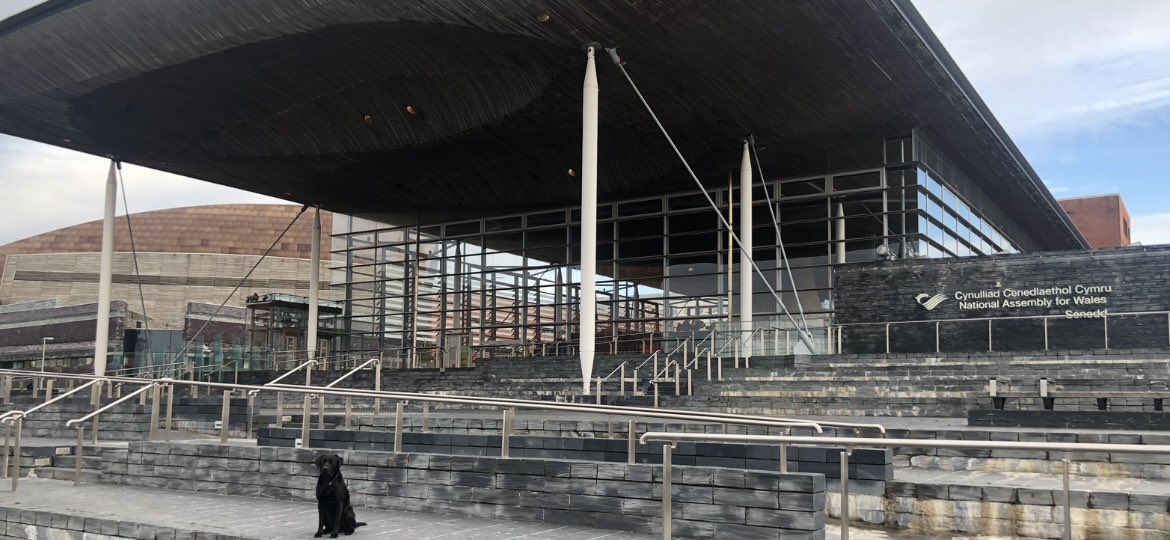 Faye Gracey (@fayegracey1) on Twitter photo If interested <a href="/WelshGovernment/">Welsh Government</a> <a href="/UKGSS/">GSS</a> Principal Statistician job - do join app process webinar 1/8, 4.30PM. Too often <a href="/gov_analysis/">Analysis Function</a> candidates don’t provide info requested so can’t sift in.
cais.tal.net/vx/lang-en-GB/…
Apply by 14/8. Inc <a href="/ADR_Wales/">ADR Wales</a> role + 1 also using <a href="/SAILDatabank/">SAILDatabank</a> If interested <a href="/WelshGovernment/">Welsh Government</a> <a href="/UKGSS/">GSS</a> Principal Statistician job - do join app process webinar 1/8, 4.30PM. Too often <a href="/gov_analysis/">Analysis Function</a> candidates don’t provide info requested so can’t sift in.
cais.tal.net/vx/lang-en-GB/…
Apply by 14/8. Inc <a href="/ADR_Wales/">ADR Wales</a> role + 1 also using <a href="/SAILDatabank/">SAILDatabank</a>