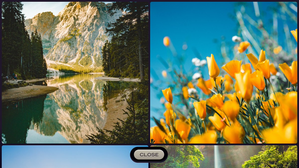 Zach Ogaard tweet media