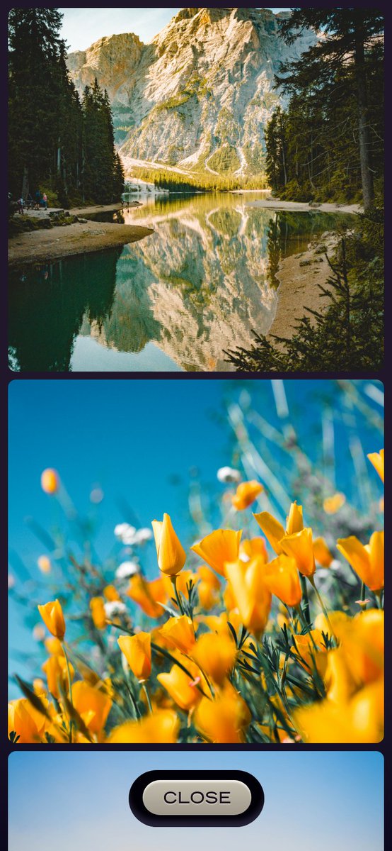 Zach Ogaard tweet media