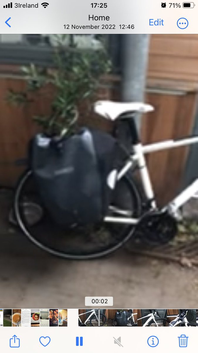 Bébhinn Murphy (@bebhin1) on Twitter photo My beloved white frame Lapierre urban shaper stolen today from outside CCJ (ironically) beside Phoenix Park <a href="/stolenbikesdub/">stolen bikes dublin</a>
<a href="/IBikeAlerts/">I BIKE Alerts 🔔</a>
<a href="/IBIKEDublin/">I BIKE Dublin</a>
<a href="/DublinCommuters/">Dublin Commuters</a> My beloved white frame Lapierre urban shaper stolen today from outside CCJ (ironically) beside Phoenix Park <a href="/stolenbikesdub/">stolen bikes dublin</a>
<a href="/IBikeAlerts/">I BIKE Alerts 🔔</a>
<a href="/IBIKEDublin/">I BIKE Dublin</a>
<a href="/DublinCommuters/">Dublin Commuters</a>
