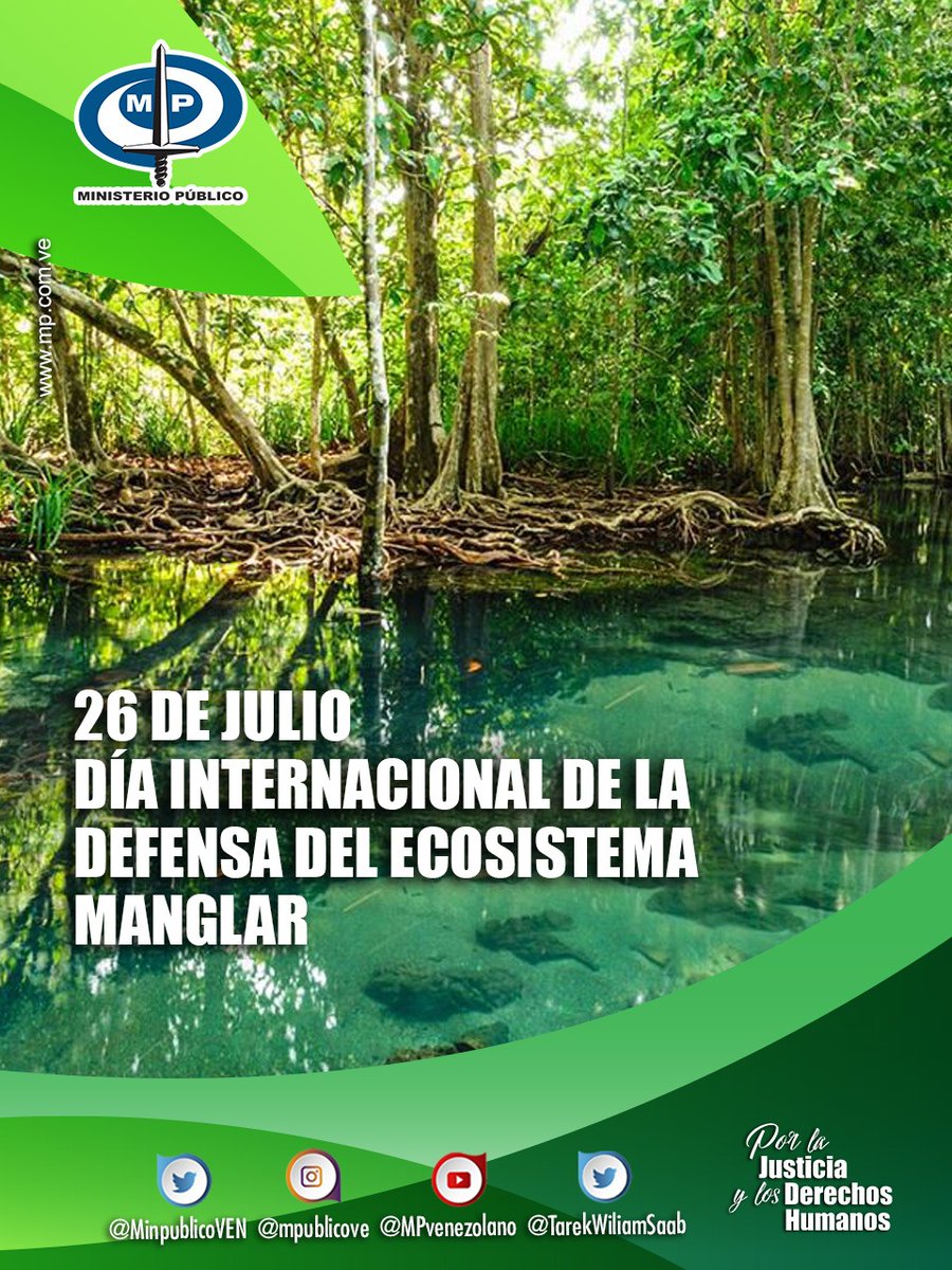 #Hoy #26Jul recordamos la importancia de proteger los #manglares para garantizar la existencia de las numerosas especies que habitan esos #ecosistemas y el equilibrio de la biodiversidad del planeta. 
#PorLaJusticiaYlosDDHH