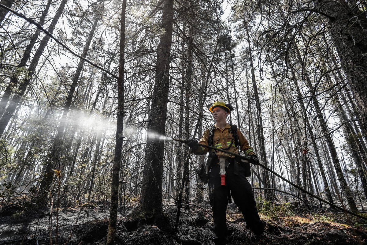 We're pleased to report that the Barrington Lake and Tantallon wildfires are officially out. 

A special thanks to all our firefighters who brought the fires under control and then spent weeks monitoring for hotspots and putting them out.