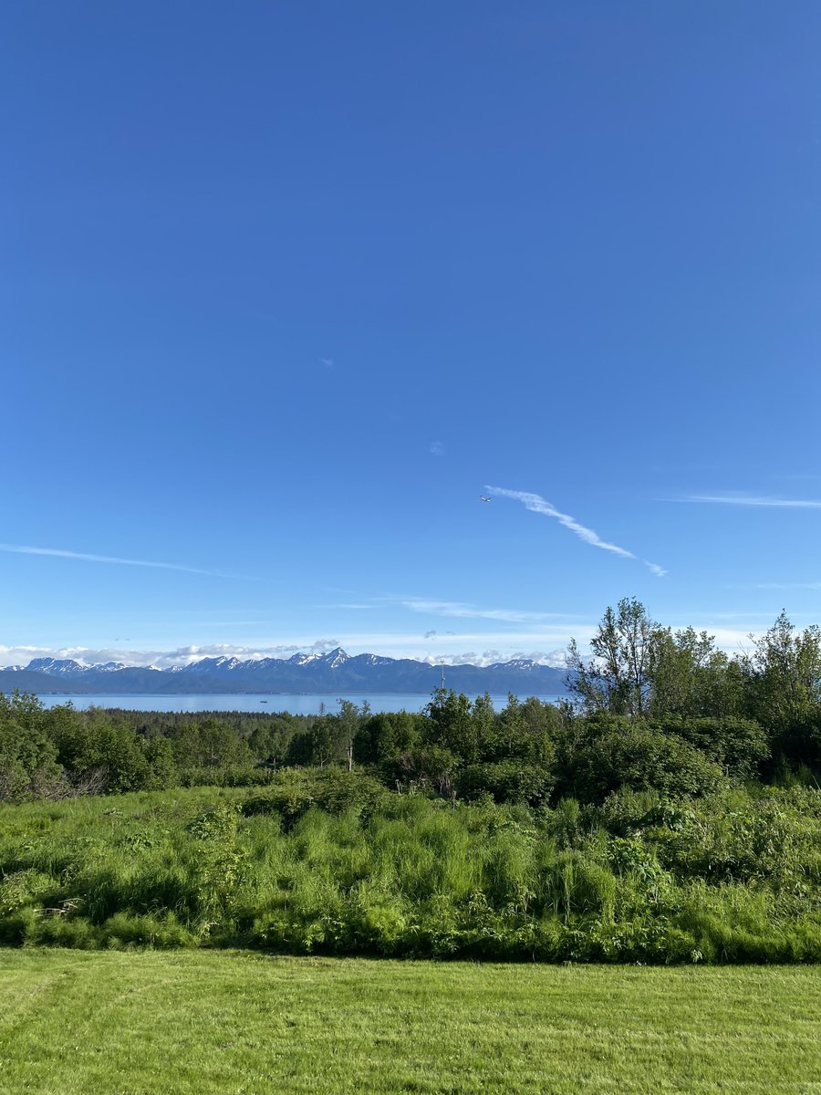 Summer's in full swing here in Homer, Alaska! 

#RavnAlaska #WeFlyAlaskaHome #Aviation #AlaskaAviation #TravelAlaska #FlyAlaska #Anchorage #Kenai #HomerAK #DutchHarbor #Valdez #SandPoint