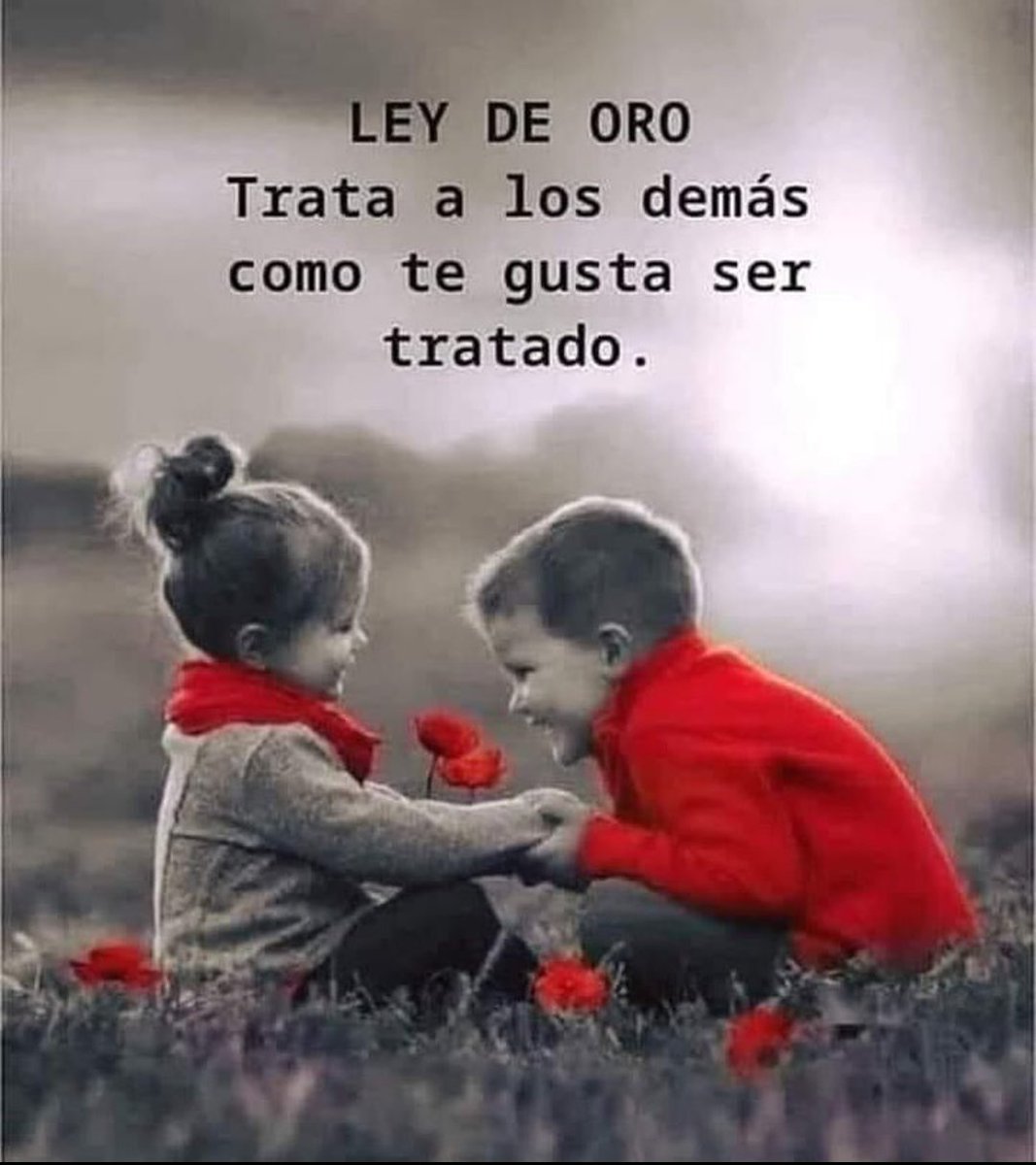 Buenas tardes 💚