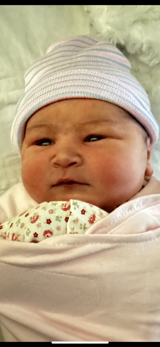 ☘️Irish Coach Boo!☘️ tweet media