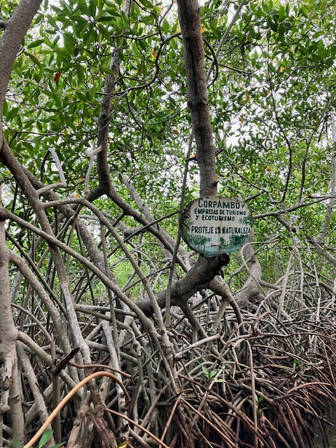 Ocean Wealth tweet media