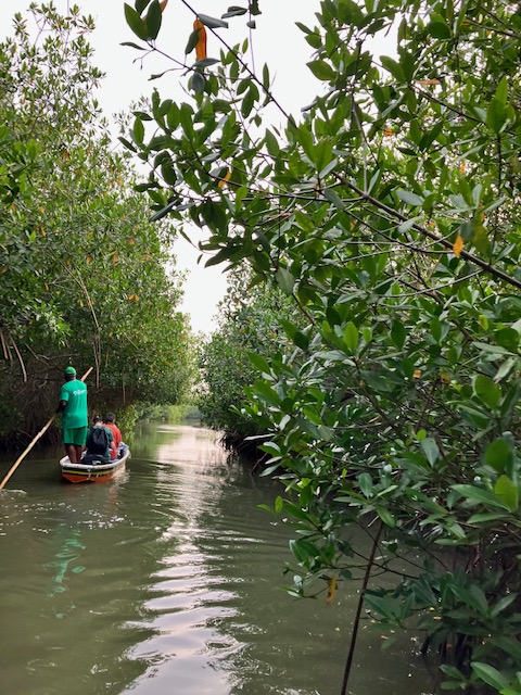 Ocean Wealth tweet media