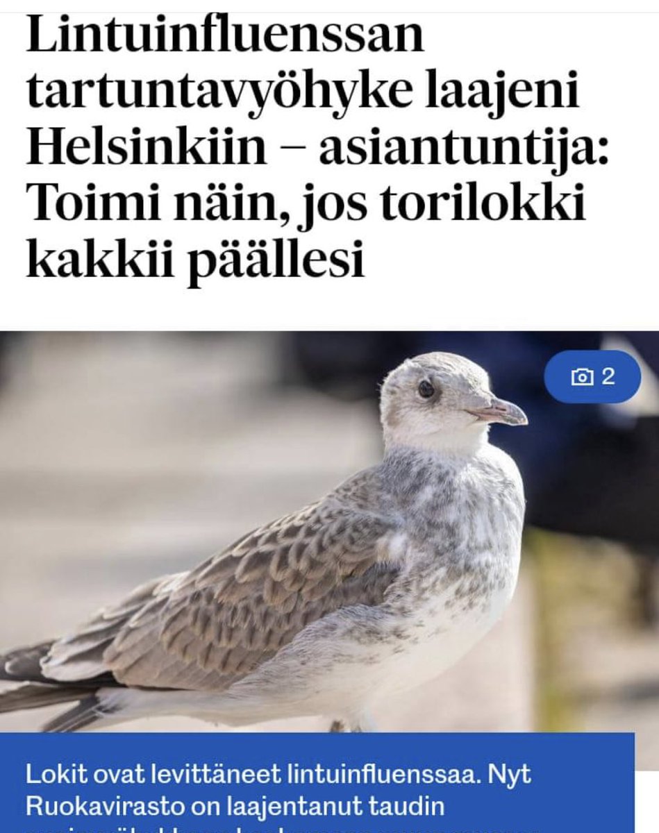PeltolaSakari's tweet image. Jos päällesi kakitaan, niin ota joku rokote. Sillä ei ole niin väliä mikä, sillä rokotteet ylipäätään johtavat kaikkien tautien vähenemiseen. Kysykää vaikka ihmisiltä jotka myyvät niitä teille… tosin heillä on niin paljon rahaa ja poliitikkojen heille suoma koskemattomuus, että…