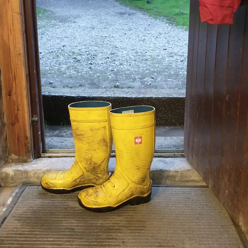 Tonight's essential clothing item at <a href="/Gradbachscouts/">Gradbachscoutcamp</a>