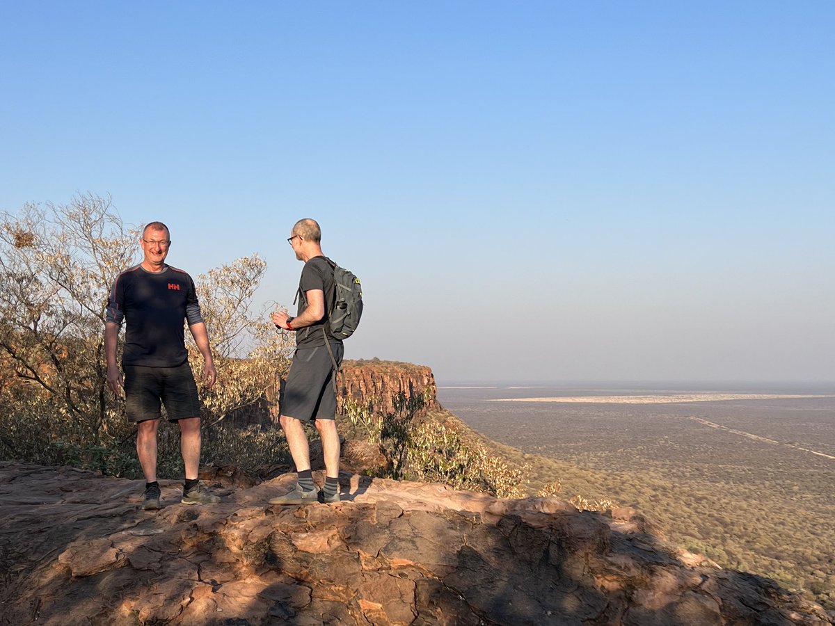 sean rayner tweet media