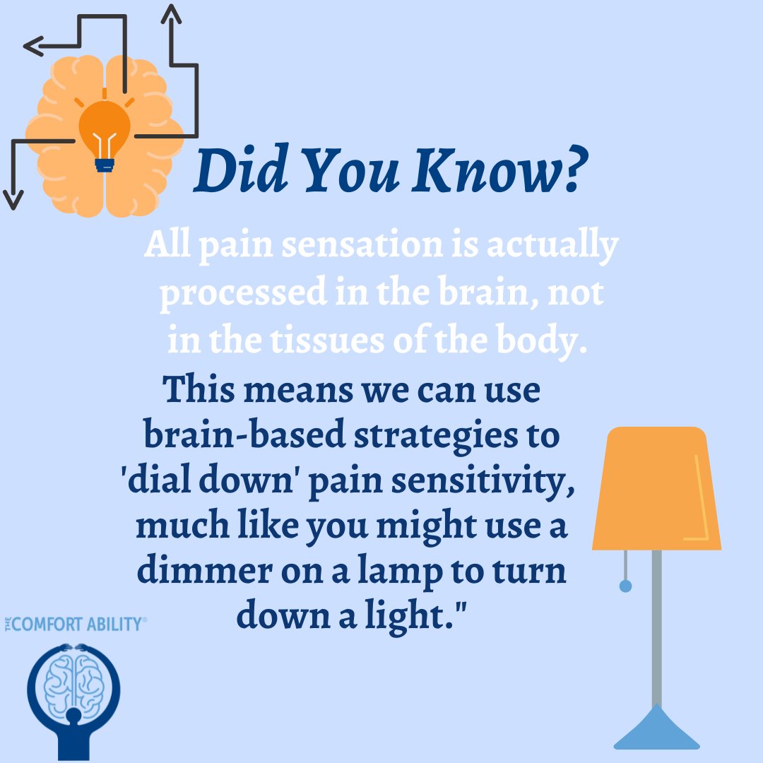 The Comfort Ability (@thecomfability) on Twitter photo 