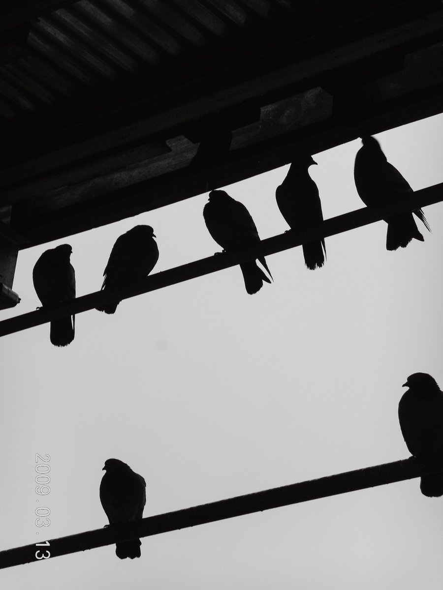 RyanjLeone's tweet photo. Moody Monday Mornings in March.#photograph #photograghy #nycphotography https://t.co/cOXRhWtXaP