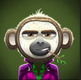 FernsellJohn's tweet photo. Accounting and HR Dept  @OnChainMonkey !RISE https://t.co/kq8qQaQNAb