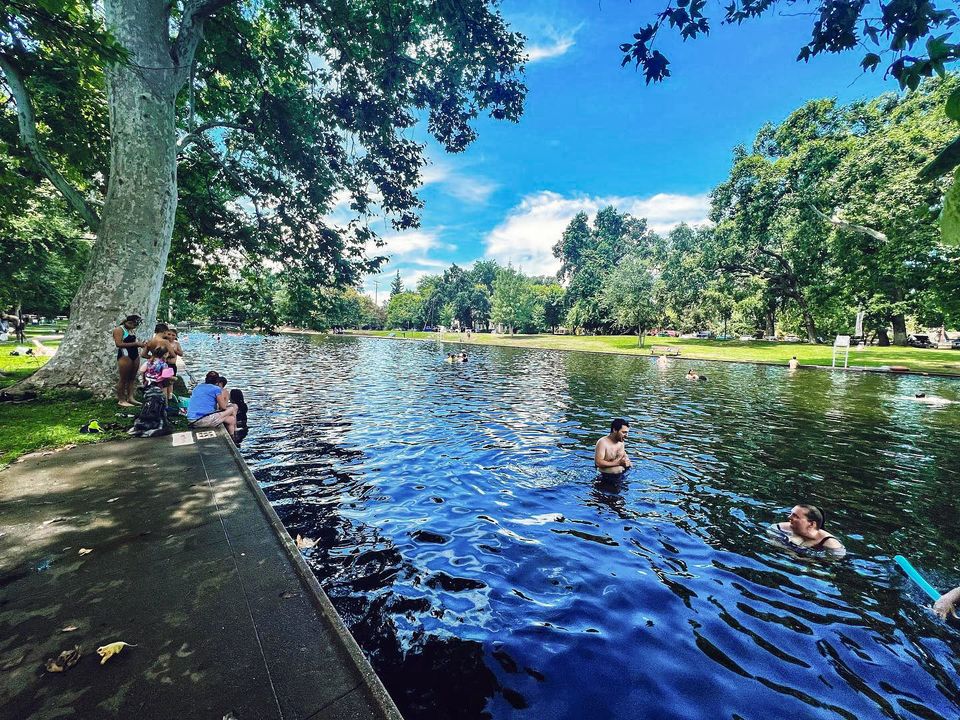 Sycamore Pool at One-Mile Recreation Area is a Chico summer classic! 🌊☀️

🛟 There are no lifeguards on duty in 2023, so please swim with caution
🛑 Closed on Thursdays for draining and cleaning

📸 jessica_natalie_143/IG