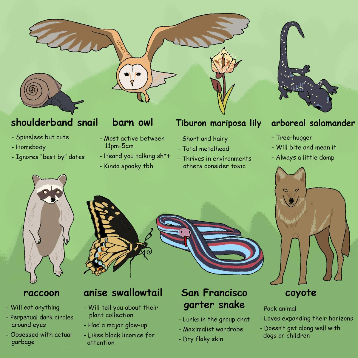 California Academy of Sciences tweet media