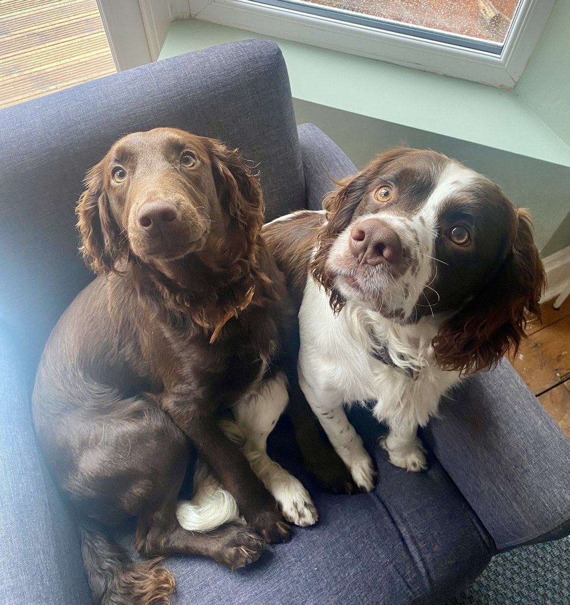 Dr Louis Allott tweet media