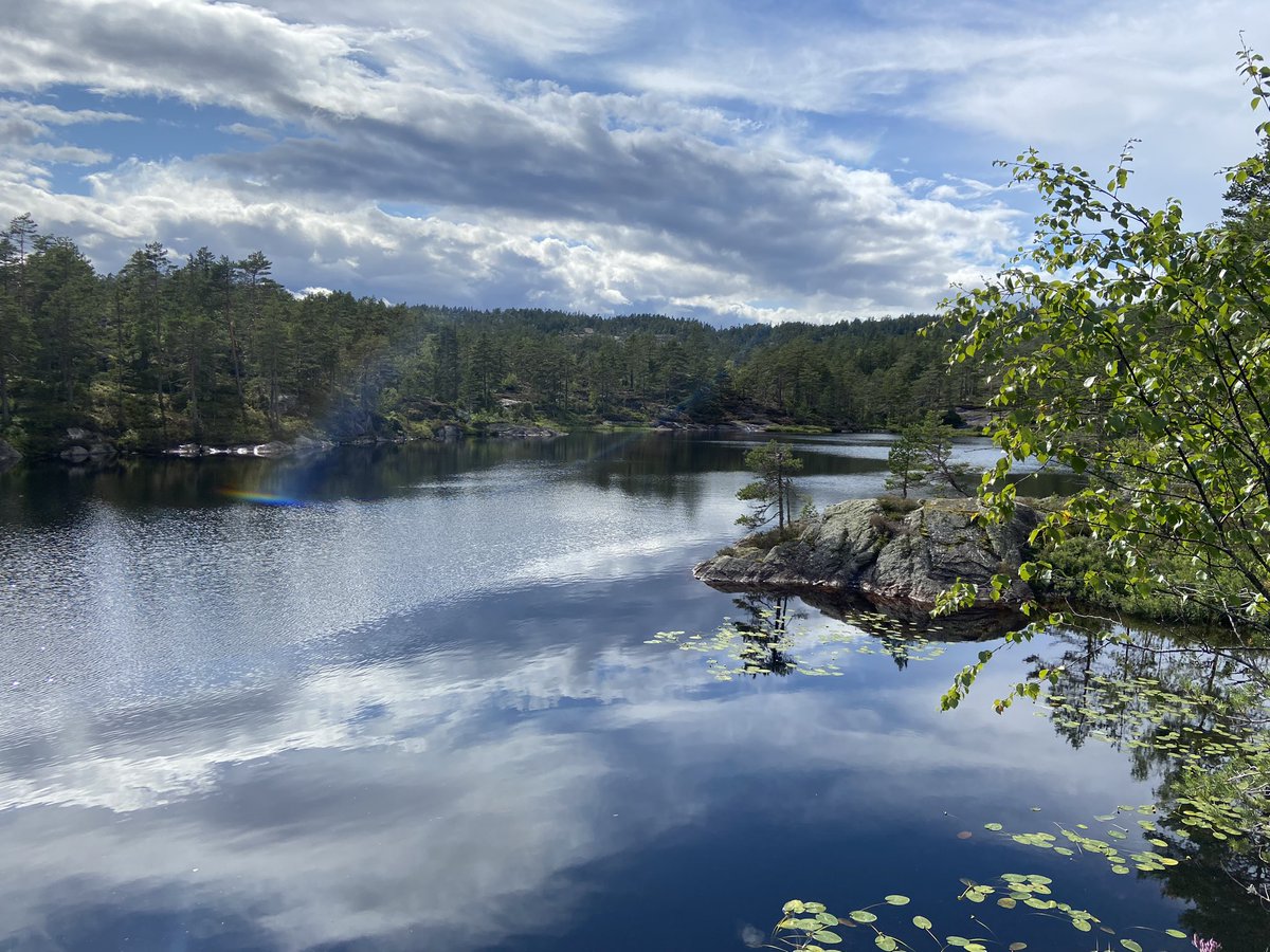 NGHS Outdoor Learning tweet media