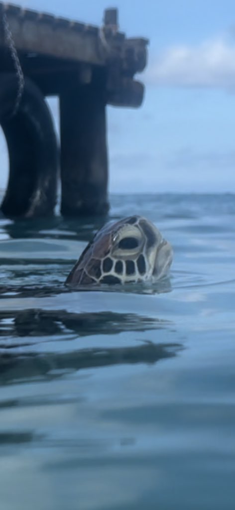 MarcBanting's tweet image. This made the flight worthwhile !!