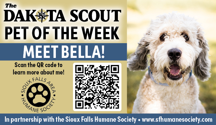 TheDakotaScout's tweet photo. We're excited to partner with the Sioux Falls Area Humane Society to highlight a furry friend each week that you can adopt and make part of your family. Learn more about Bella &amp; other cute animals at the shelter by visiting @sfadopt 
https://t.co/NtuLejcUI7 https://t.co/qmvFgCMzJf