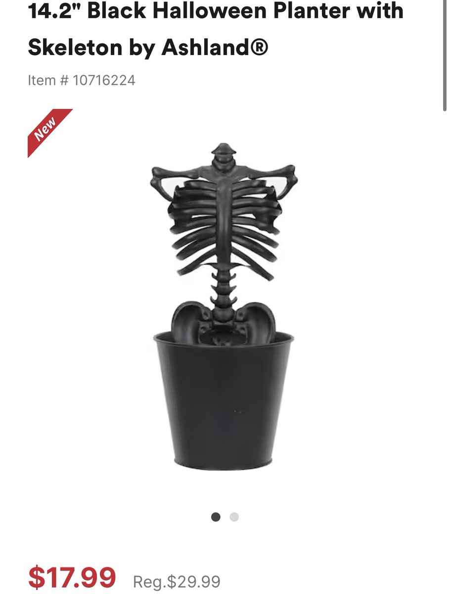 Hey fwends. If anyone sees a skeleton body about this big in any stores near you, lemme know. This planter from michaels is sold out &amp; being resold on mercari for $100 fn dollars and I refuse —- I’ll craft that shit myself. I just need some eyes out and about. Thanks in advance.
