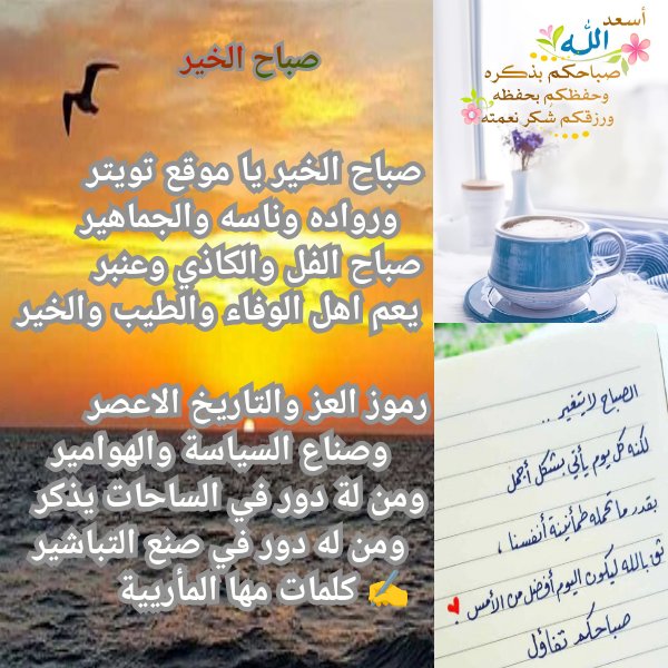 mahamairb's tweet photo. صباح الخير يا موقع تويتر
ورواده وناسه والجماهير
صباح الفل ولكاذي وعنبر
يعم اهل الوفاءوالطيب والخير

رموز العز والتاريخ الاعصر
وصناع السياسةوالهوامير
ومن لةدور في الساحات يذكر
ومن له دور في صنع التباشير
كلمات مها المأريية

#صباح_الخير
#الاستديو73
#سعيد_بن_زايد 
#رسميا_مبابي_هلالي https://t.co/1mJzh7xqly