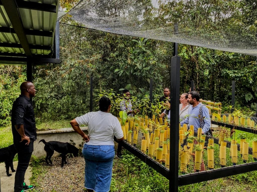 ComisionadoPaz's tweet photo. En conjunto con el @IIAP_CO, el equipo de @ComisionadoPaz construye paz en Quibdó a través de iniciativas comunitarias de conservación, restauración y economía de la biodiversidad. #PazAmbiental es reconciliación y armonización con todas las formas de vida. #AvanzaLaPaz https://t.co/JuSSUDx5S5
