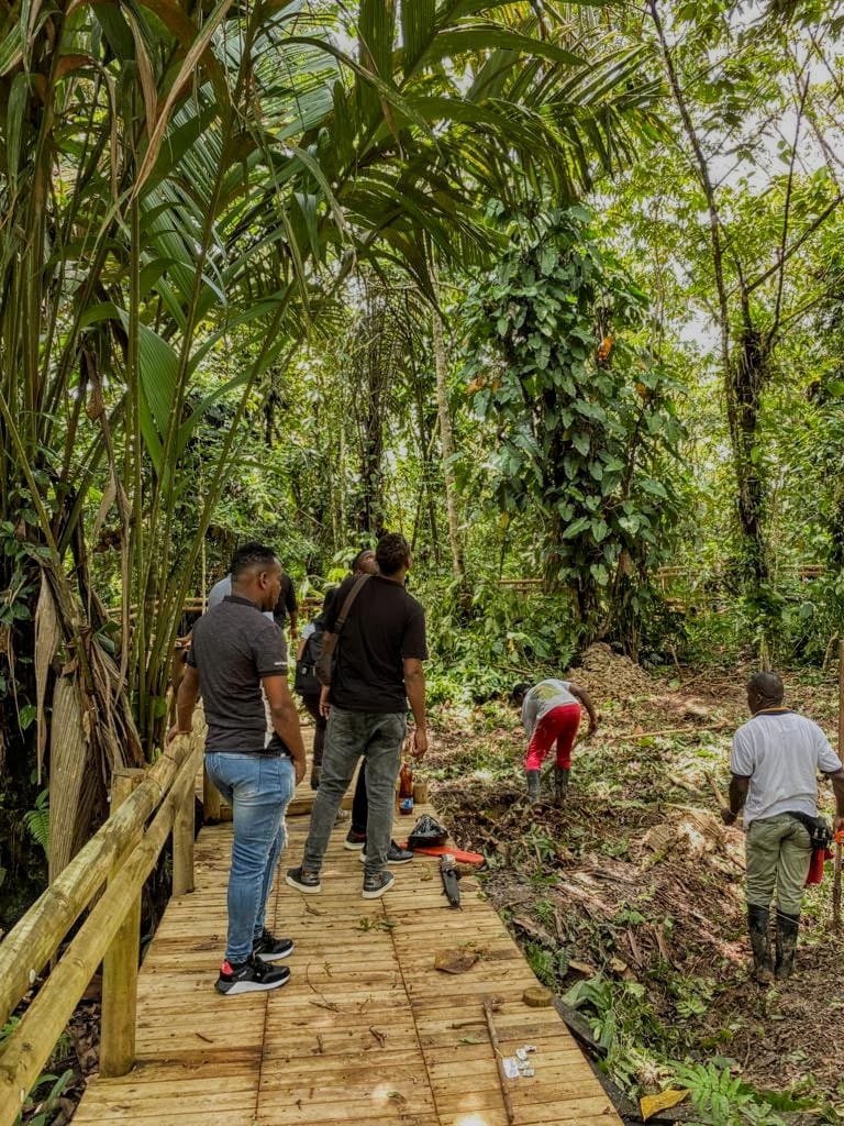 ComisionadoPaz's tweet photo. En conjunto con el @IIAP_CO, el equipo de @ComisionadoPaz construye paz en Quibdó a través de iniciativas comunitarias de conservación, restauración y economía de la biodiversidad. #PazAmbiental es reconciliación y armonización con todas las formas de vida. #AvanzaLaPaz https://t.co/JuSSUDx5S5