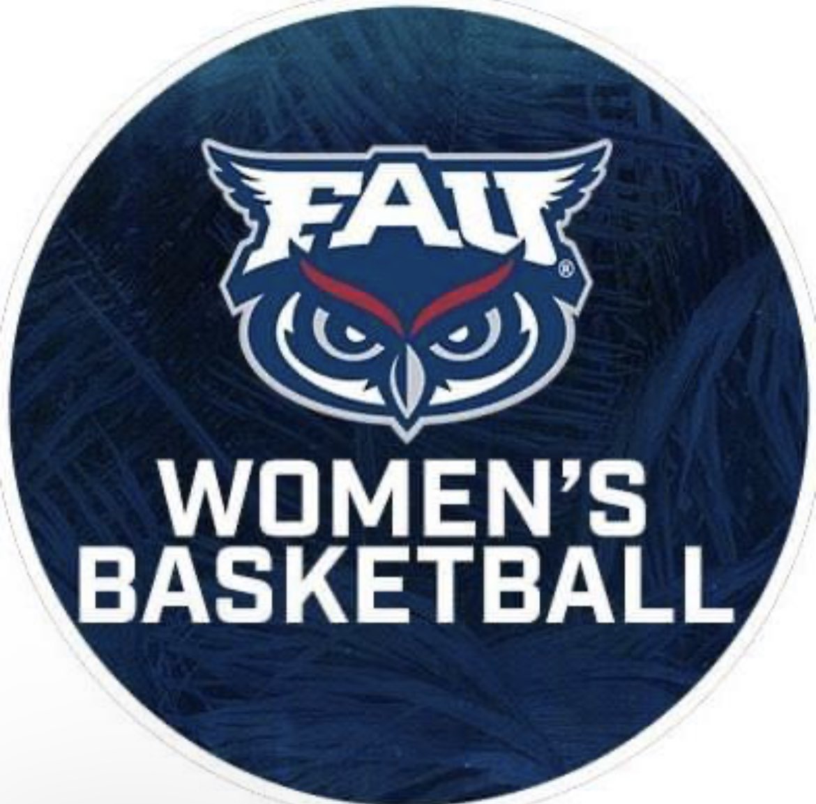 Had a great phone conversation with @coachsully10 and I am super excited to receive an offer from @FAUWBB! @LHSGbb @coach_jgray @teamhunchobball