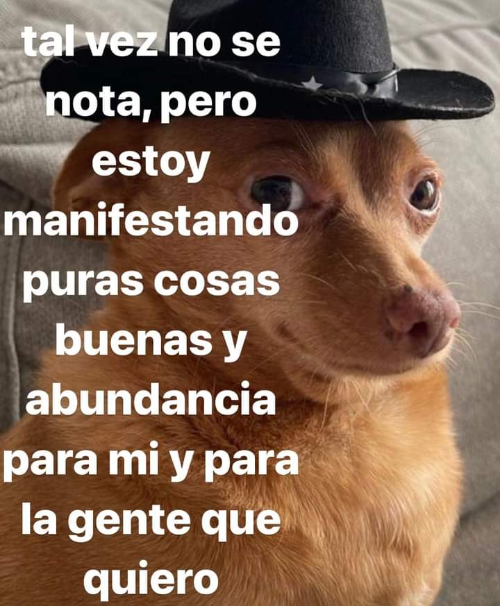 nxstypxet's tweet photo. https://t.co/zm7VCyLgge