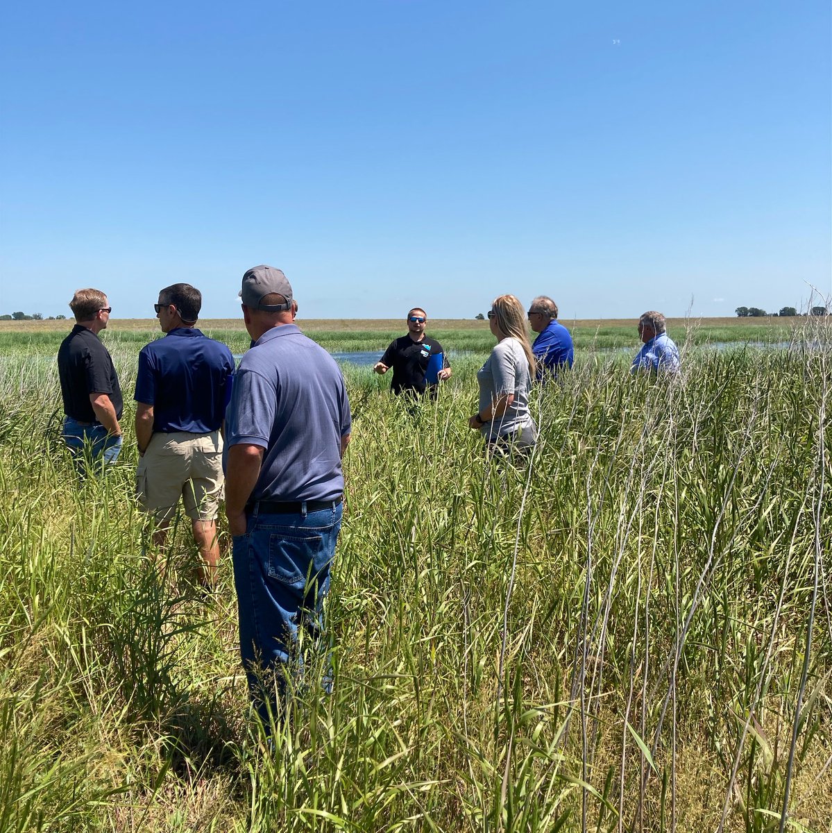 MNagriculture's tweet photo. Today, @Renville_SWCD Administrator Holly Hatlewick hosted a field day for structural and non-structural conservation BMPs in a road tour that MN Ag Water Quality Certification Program Manager @bjredlin was happy to attend. #MNAg

#MAWQCP ➡️ https://t.co/91Tzml0LH4 https://t.co/YN1giGO46W
