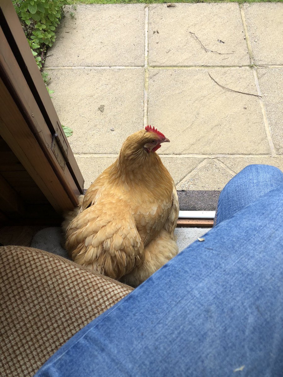 blacksmoke1033's tweet photo. Sitting in the shed with my dog https://t.co/nY6UhxTWRZ