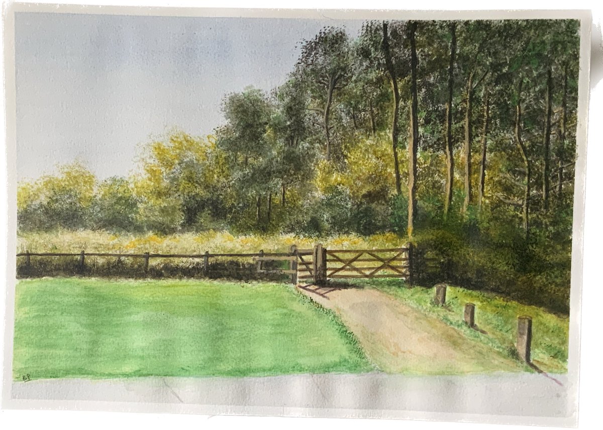 16 x12 acylicpainting ,sale for McMillans Charity ,thank you everyone for your tweets,retweets, likes and comments.