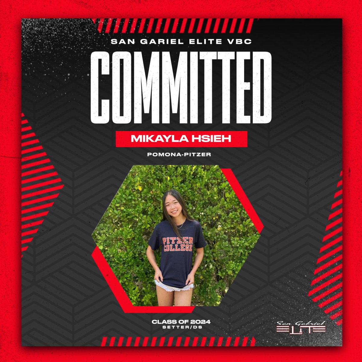 SG Elite VBC tweet media