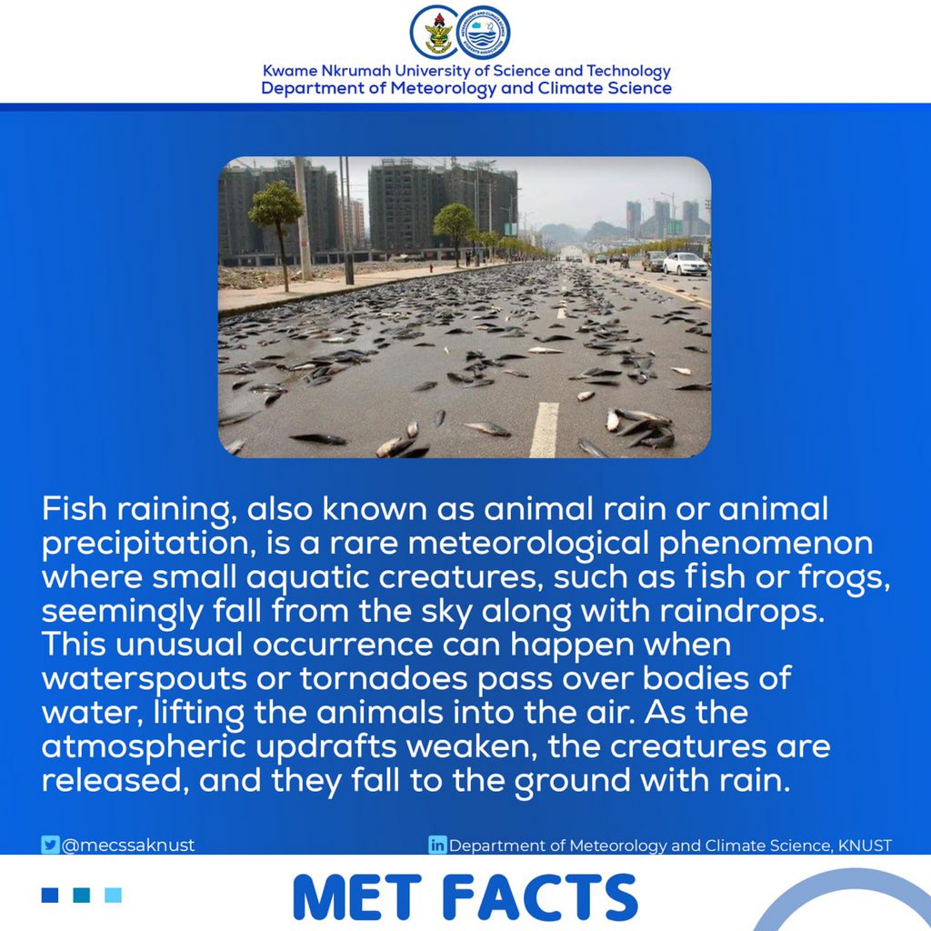 Is_Egyir's tweet photo. For Some Months now I’ve been the Fingers Translating Meteorological Insights into Engaging Designs! 📊✨ Being part of the Met Facts team as the only graphic designer allows me to transform intricate meteorological data into visually stunning representations. 

#MetFacts https://t.co/fHUgu2rJzK