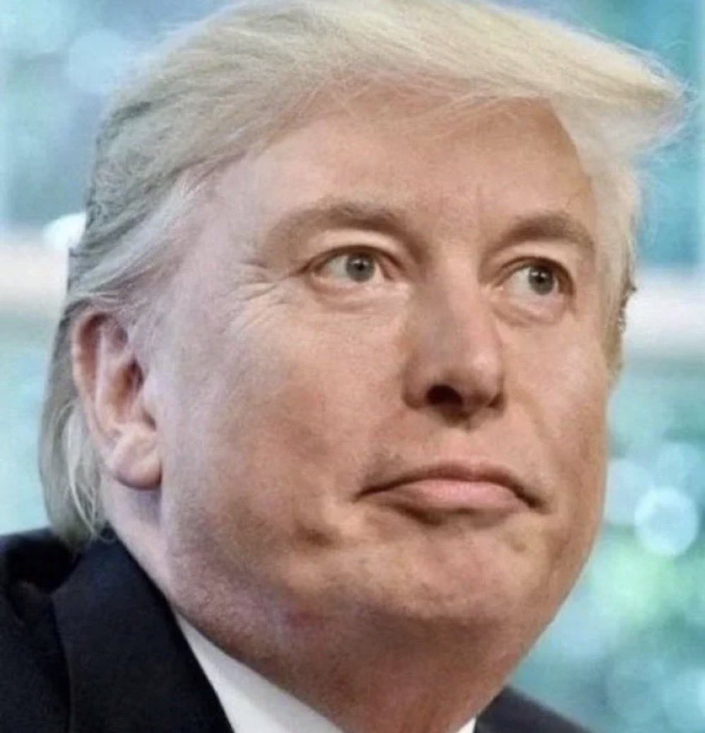 Not Elon Musk tweet media