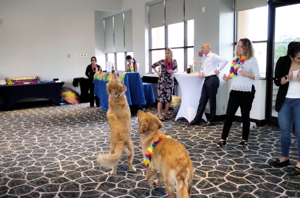 Happy National Dog Photography Day! Enjoy these photos from our Yappy Hour back in June 🐶 

#Hilton, #EmbassySuites, #Tampa, #TampaBay, #Florida, #VisitFlorida, #Westshore, #YappyHour, #Dog, #DogPhotography, #HappyHour, #PetFriendly