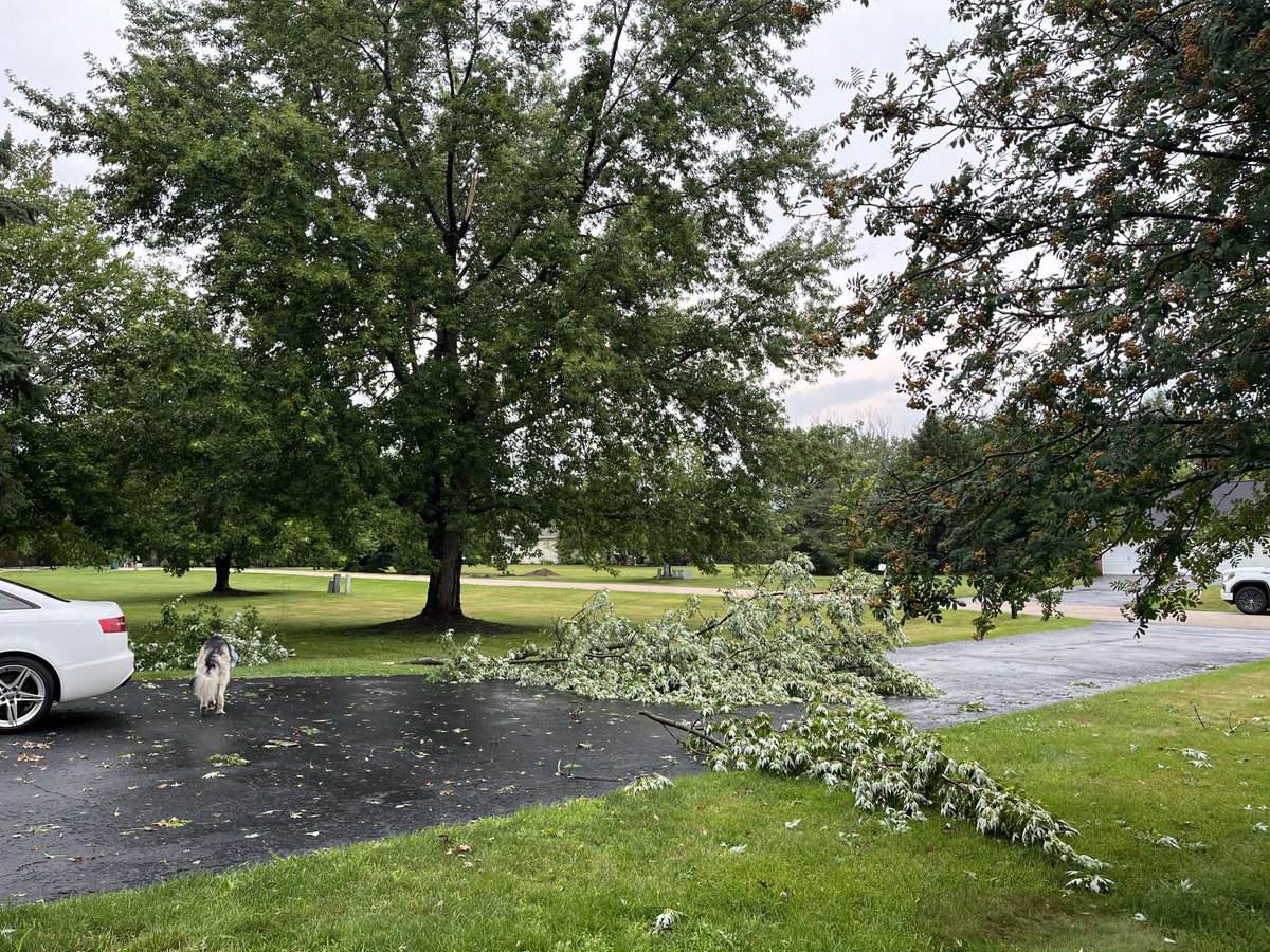 caitpenn's tweet photo. Lost a tree and some sizable limbs in this morning's storms around Belvidere, IL @NWSChicago @13wrex @skilling #ilwx https://t.co/1ceE08n3VH