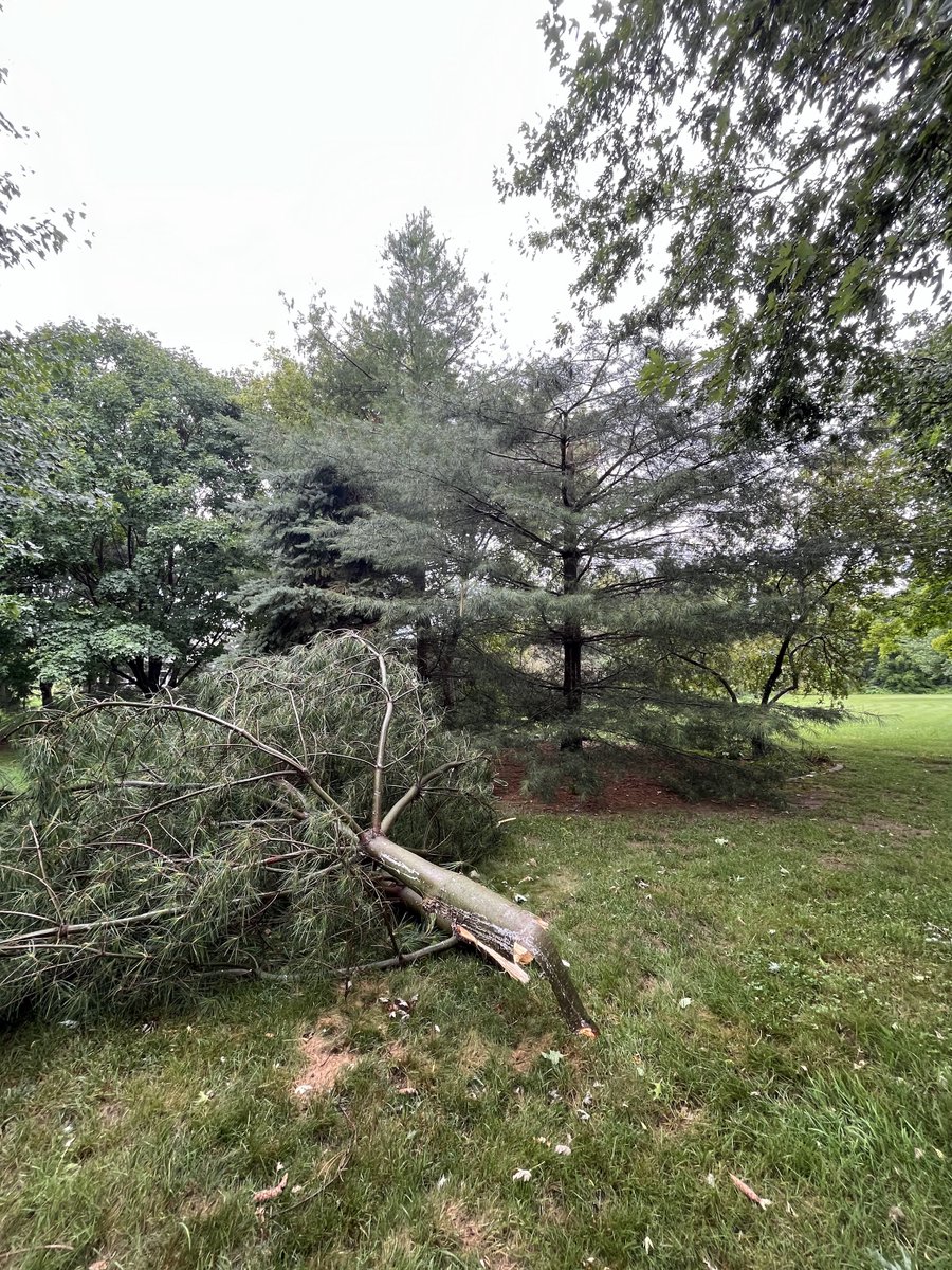 caitpenn's tweet photo. Lost a tree and some sizable limbs in this morning's storms around Belvidere, IL @NWSChicago @13wrex @skilling #ilwx https://t.co/1ceE08n3VH