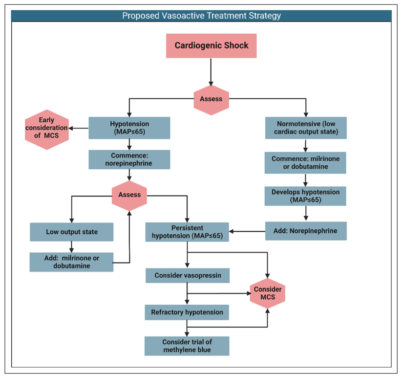 Contemporary Vasopressor and Inotrope Use in Cardiogenic Shock CCR Journal Watch criticalcarereviews.com/latest-evidenc… Get the latest critical care literature every weekend via the CCR Newsletter - subscribe at criticalcarereviews.com/newsletters/su…