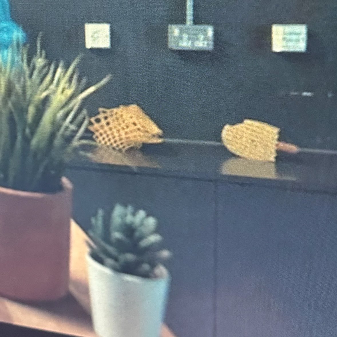When your #3dprinted artifacts show up on the little screen <a href="/DWBseries/">Dreaming Whilst Black</a> <a href="/tmrwhub/">TMRW</a> <a href="/BBCiPlayer/">BBC iPlayer</a>