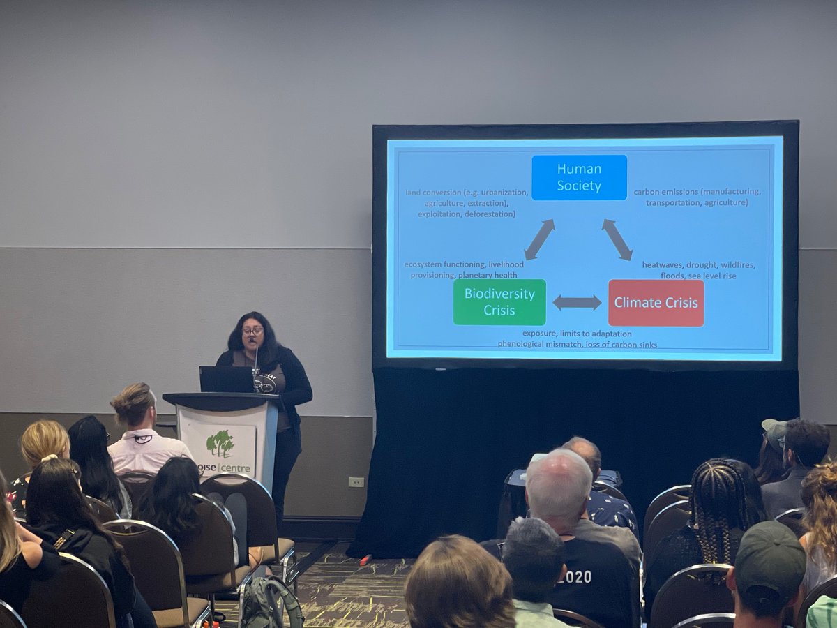 Great and inspiring talk by <a href="/naomibot/">Naomi Fraga @naomibot.bsky.social</a> about threats of lithium mining (the new gold rush) and solar development to rare plants.  We don’t have to sacrifice biodiversity to decarbonize! #Botany2023