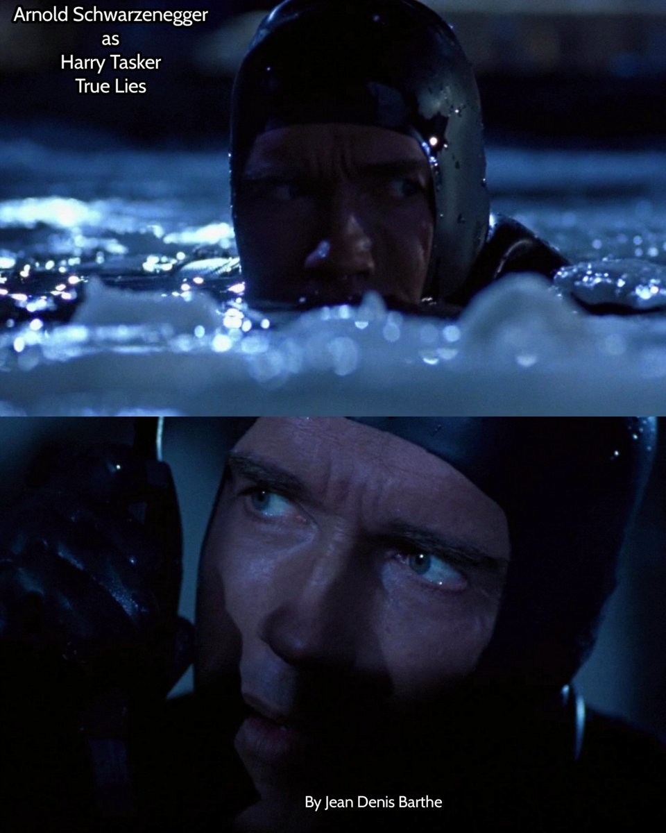 jeandenisbarthe's tweet photo. Arnold Schwarzenegger as Harry Tasker - True Lies
#arnoldschwarzenegger #harrytasker #truelies #jeandenisbarthe https://t.co/Q33Stxh6zh