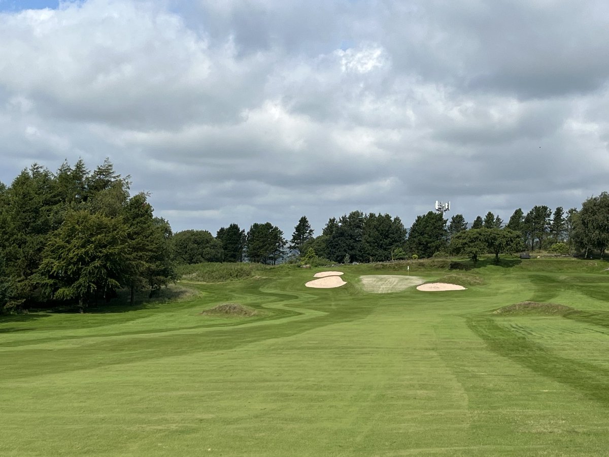 Nelson Greens Team tweet media