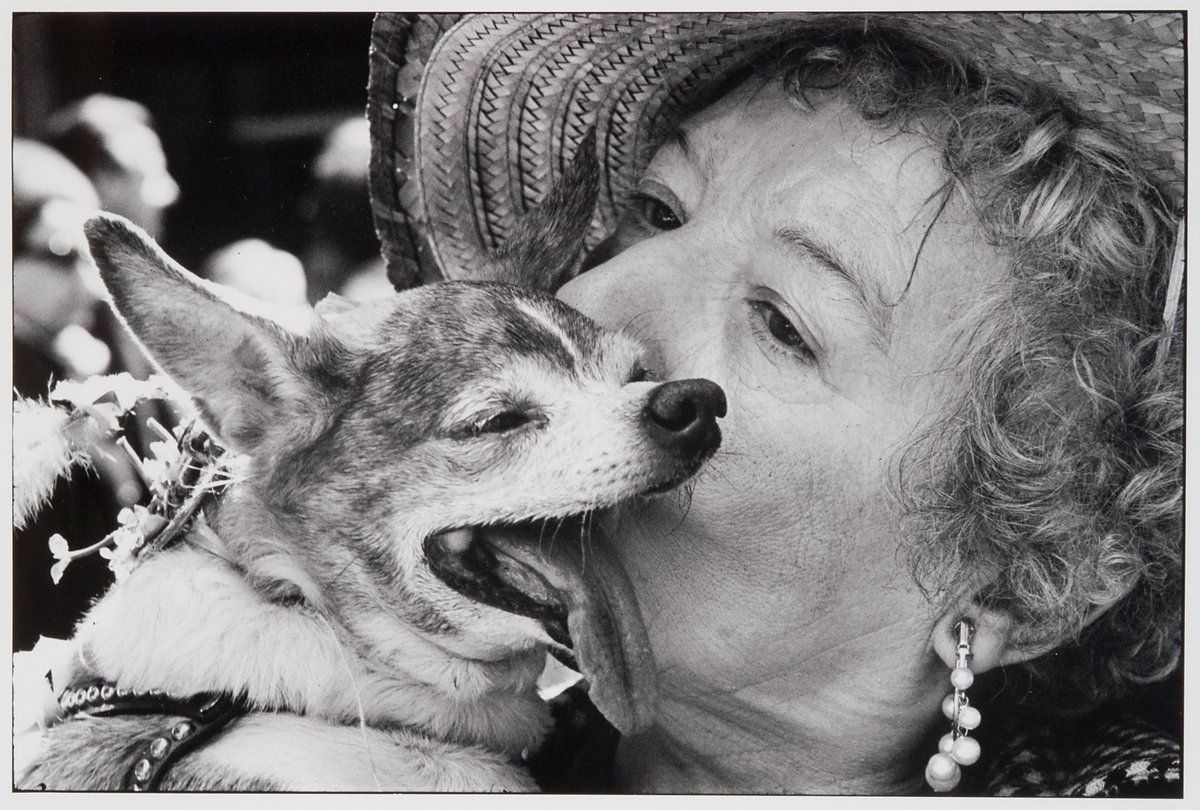 SpencerMuseum's tweet photo. Sun's out tongue's out! π
Stop by Open Fridays in our Goddard Study Center today from 10AMβ12PM & 1β4PM and request to view this photo and others of dogs in our collection. Don't forget to share images of your furry friends using #DogDaysofSpencer! ππ
https://t.co/sHND4JrmuS https://t.co/stJ5kRXLEQ